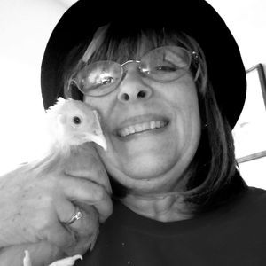 Meet your Posher, Gerrilynn